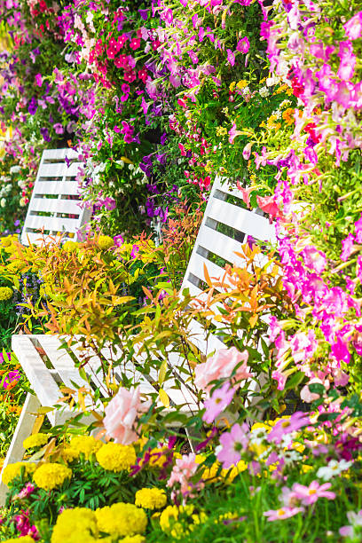 istock Flowers in the garden. 532034110