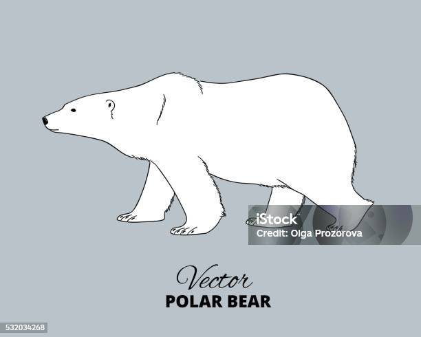 Polar Bear Hand Drawn Illustration Stockvectorkunst en meer beelden van IJsbeer - IJsbeer, Doedel, Cartoon