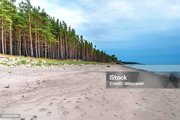 Endlosen Küstenlinie Mit Wald Stockfoto und mehr Bilder von Abwesenheit - Abwesenheit, Baltikum, Baum