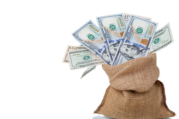 istock Money in the bag 532035018