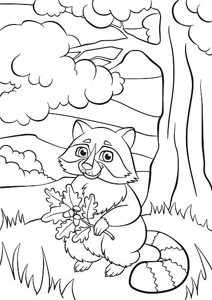 Little cute raccoon holds oak twig in the hands. Coloring pages. Animals. Little cute raccoon holds oak twig in the hands. how to draw a school building clip art stock illustrations