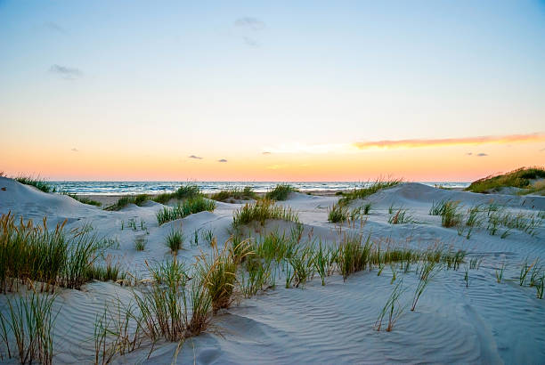 istock View on sand dunes of Liepaja beach 532038388