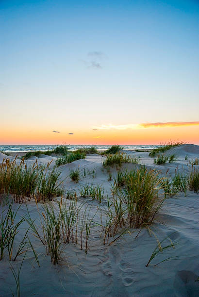 istock View on sand dunes of Liepaja beach 532038438