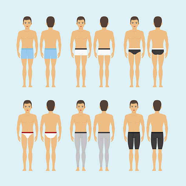 남성 속옷 벡터 아이콘 - underwear men shorts isolated stock illustrations