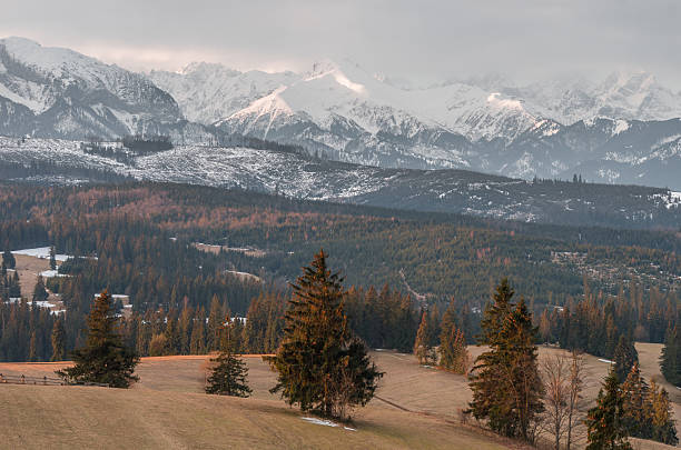 istock Tatra mountains - morning landscape over Spisz highland 532039666