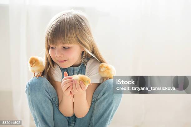 Young Beautiful Girl Playing With Little Newborn Chick At Home Stock Photo - Download Image Now