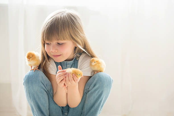 jovem e bela garota, brincando com pouco garota recém-nascido em casa - bird yellow child chicken - fotografias e filmes do acervo