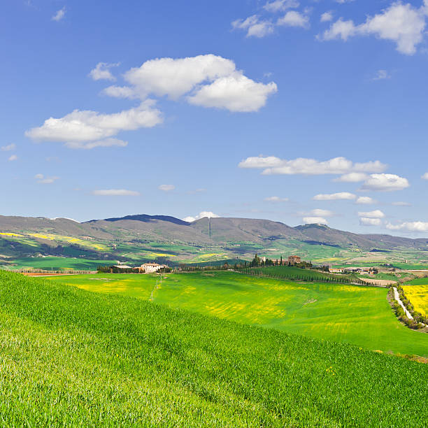 istock Meadows of Tuscany 532047086