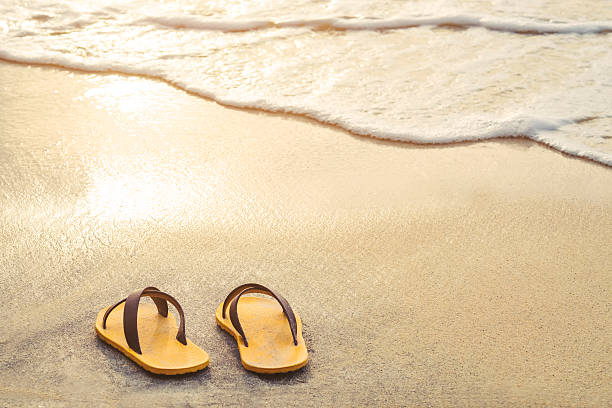 istock Flipflop on beach with bright light of sunset in summer 532047746