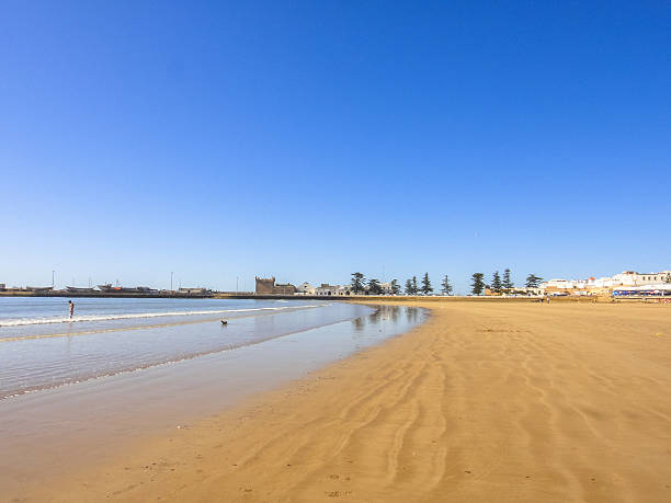 эс-сувейра пляже марокко. северной африке - essaouira стоковые фото и изображения