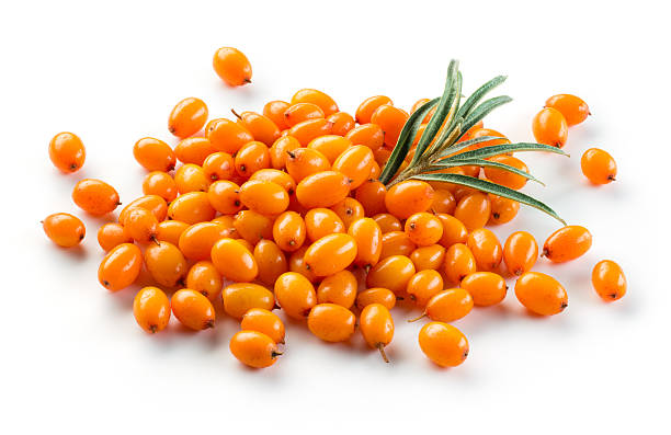 istock Sea buckthorn. Heap isolated on the white. 532049164