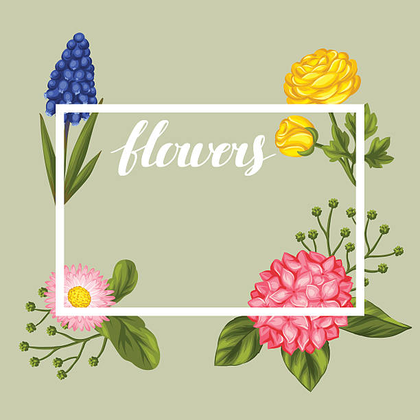 illustrations, cliparts, dessins animés et icônes de invitation carte avec des fleurs de jardin. décoratifs hortense, renoncule d'asie, et muscari - hortense