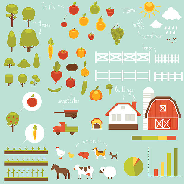 farm-infografik - hund grafiken stock-grafiken, -clipart, -cartoons und -symbole