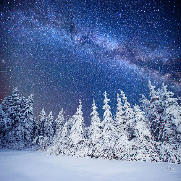 istock Dairy Star Trek in the winter woods 532052689