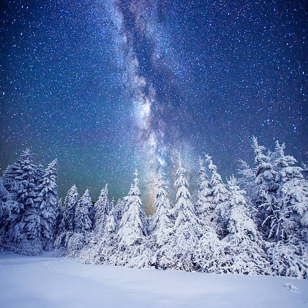 istock Dairy Star Trek in the winter woods 532052727