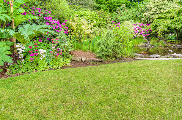 istock Landscaped garden scene with blooming shrubs 532053035