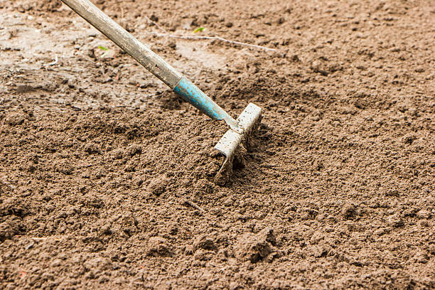 istock rake loosen dig up the ground 532054478