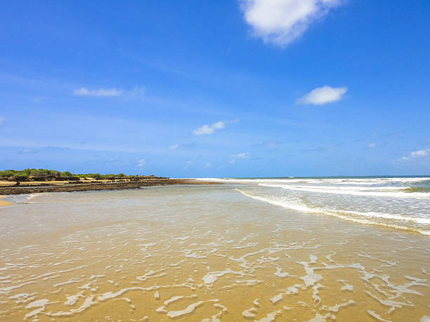 istock manda island beach in kenya near lamu 532054916