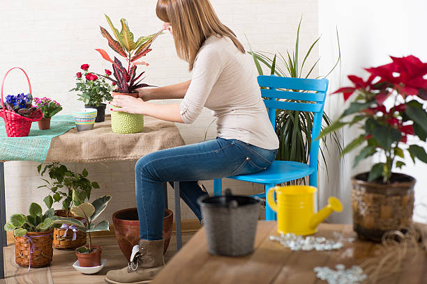 mulher organização de flores em casa - hoby imagens e fotografias de stock