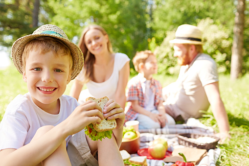 Lovely little boy eating sandwich at family picnic