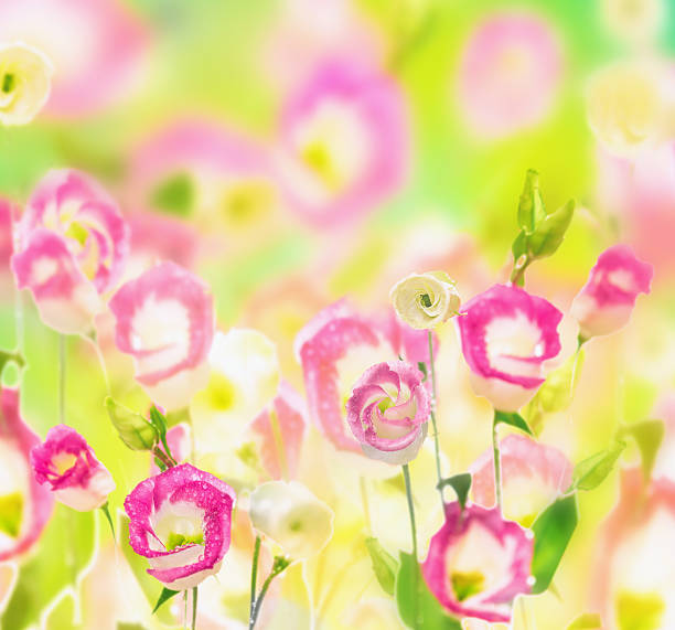 istock Summer flowers field, nature background 532056203