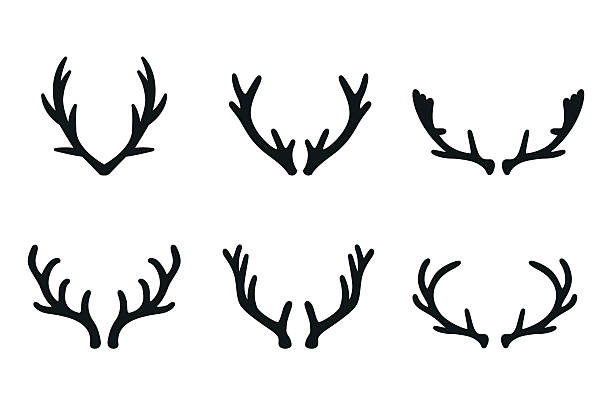 ilustraciones, imágenes clip art, dibujos animados e iconos de stock de vector conjunto de iconos de deer antlers negro - reindeer