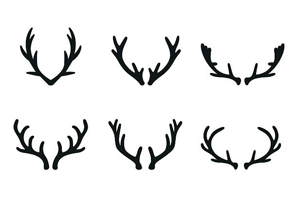 illustrazioni stock, clip art, cartoni animati e icone di tendenza di cervo vettoriale icone set nero antlers - ramificazione