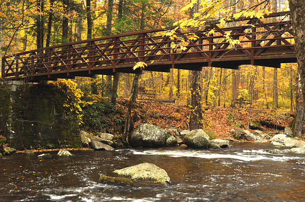 Small metal footlog crosses a river during fall.