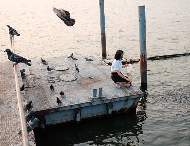 istock woman student feeding fish at port 532057092
