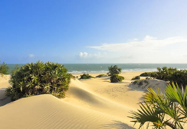 Shela beach in Lamu. Kenya Shela beach in Lamu. Kenya xxi stock pictures, royalty-free photos & images