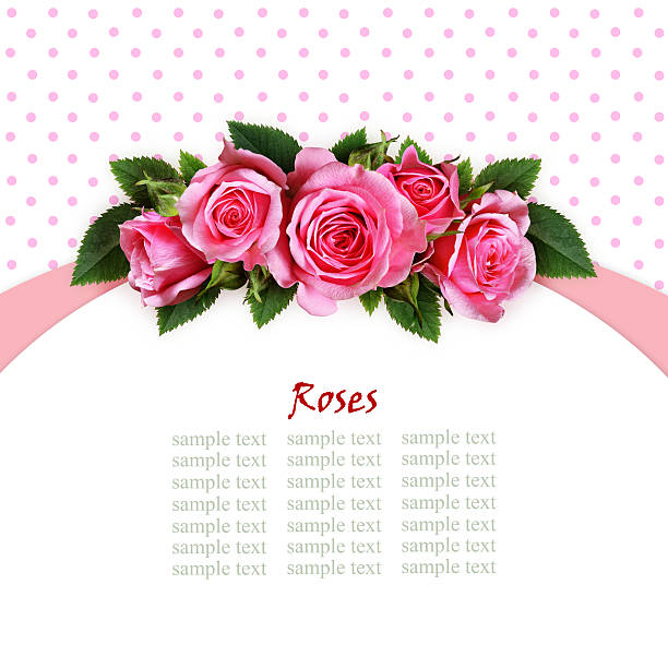 Pink rose flowers arc arrangement on white and spotted background