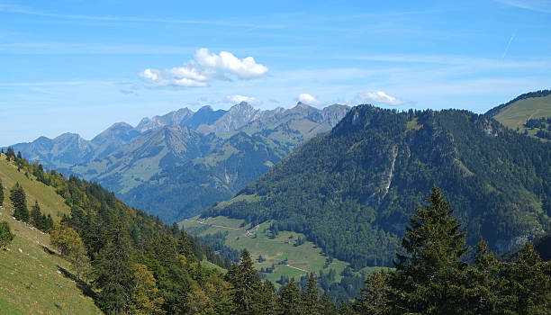 istock The Swiss Alp and Gruyere 532058511
