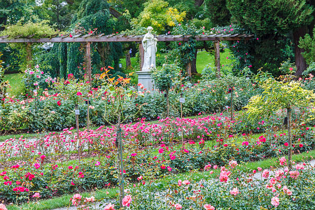 Volksgarten with colorful roses flower garden in Vienna spring season