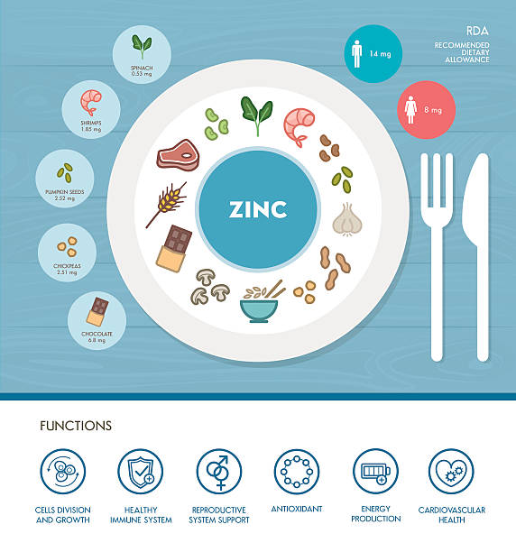 ilustraciones, imágenes clip art, dibujos animados e iconos de stock de las vitaminas y minerales - zinc