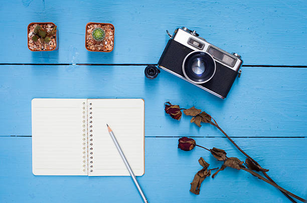 istock dry rose and old camera on blue wooden table 532059276