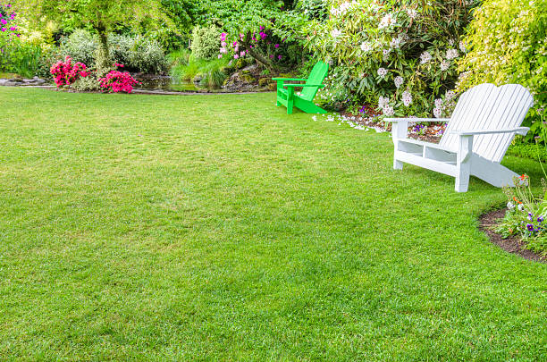 istock Landscaped garden scene with benches 532089101