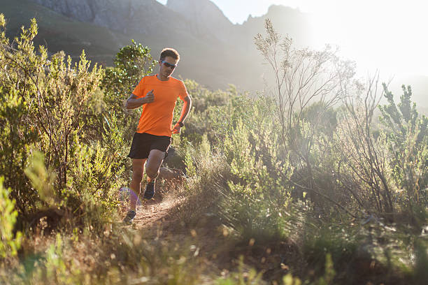 istock Early morning mountain run 532090031