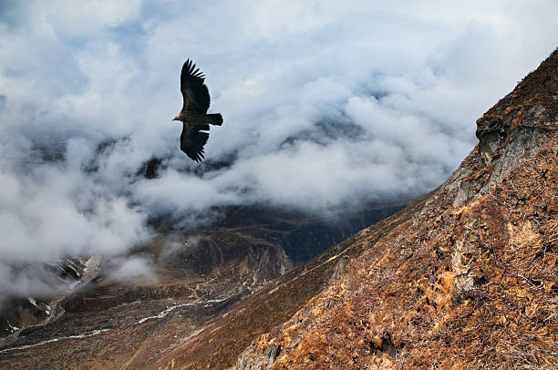 View from the mountain five thousand meters high in the Himalayas.