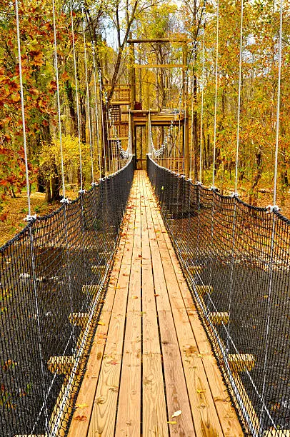 Photo of Swinging bridge in the fall.
