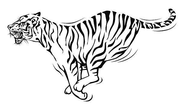 Tiger Face Tattoo Designs Pictures Illustrations, Royalty-Free Vector  Graphics & Clip Art - iStock