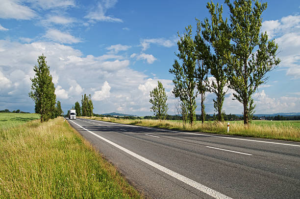 istock Empty road lined with poplar alley, truck coming from afar 532093299