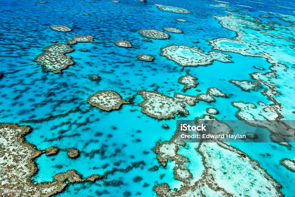 Great Barrier Reef The Great Barrier Reef in north Queensland,Australia. Reef Stock Photo Great Barrier Reef The Great Barrier Reef in north Queensland,Australia. Reef Stock Photo
