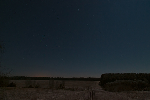 beautiful night landscape in the field under the stars