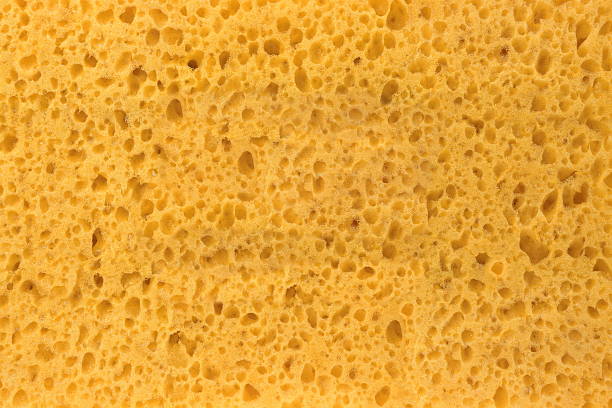 istock New And Clean Yellow Sponge Textured Background 532103604