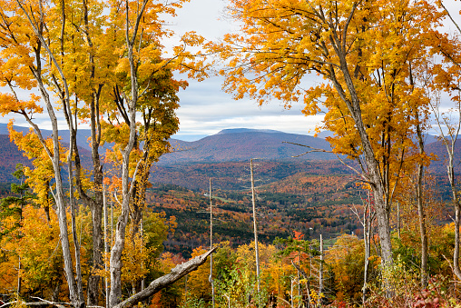 A scenic view through Autumn trees foliage to the Catskill Mountains beyond