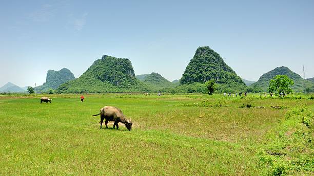 istock Hikers tramped through field in the Karst area 05 532108956