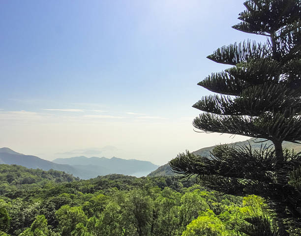 istock lantau island nature. hong kong 532109316