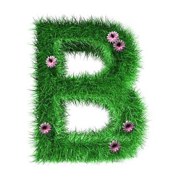 istock Letter B of Grass And Flowers 532109420