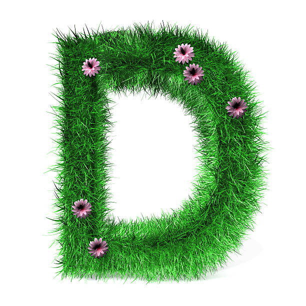 istock Letter D of Grass And Flowers 532109754
