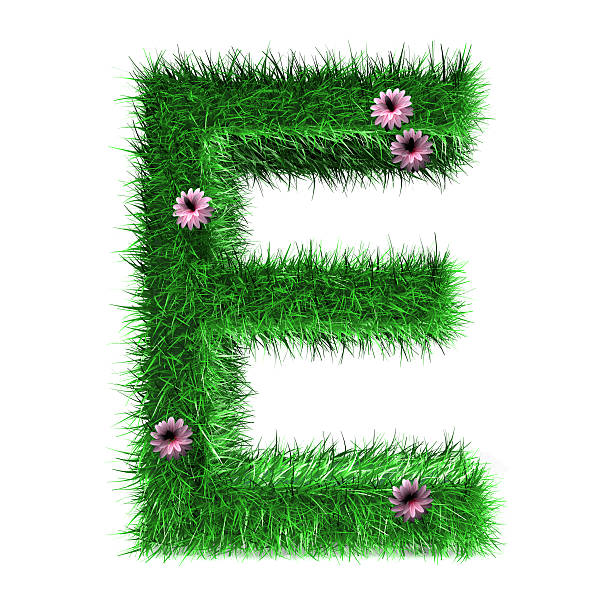 istock Letter E of Grass And Flowers 532109942